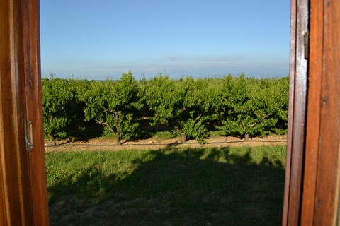vue de la fenetre de la roulotte